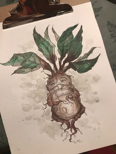 Harry Potter Sketch Ideas, Harry Potter Watercolor Art, Mandrake Tattoo, Watercolor Harry Potter, Cool Nature Tattoos, Harry Potter Tattoo Sleeve, Harry Potter Watercolor, Harry Potter Creatures, Nature Tattoo Ideas