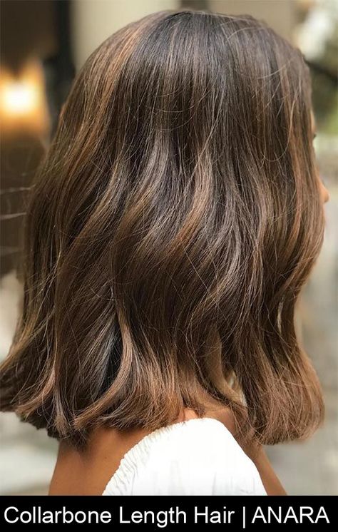 Collarbone Length Hair | ANARA Collarbone Length Hair With Balayage, Collarbone Length Brown Hair, Collarbone Length Hair Brunette With Highlights, Hair To Collarbone Length, Collarbone Length Hair Straight Fine, Collarbone Bob, Collarbone Length Haircut, Collarbone Length Hair, Short Hair Model