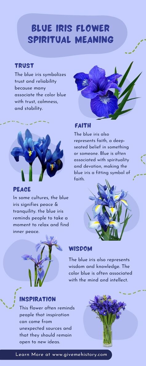 Blue Flowers Meaning, Iris Flower Meaning, Iris Symbolism, Iris Flowers Aesthetic, Flower Meanings Chart, Blue Flower Names, Iris Meaning, Iris Flower Tattoo, Big Tattoos