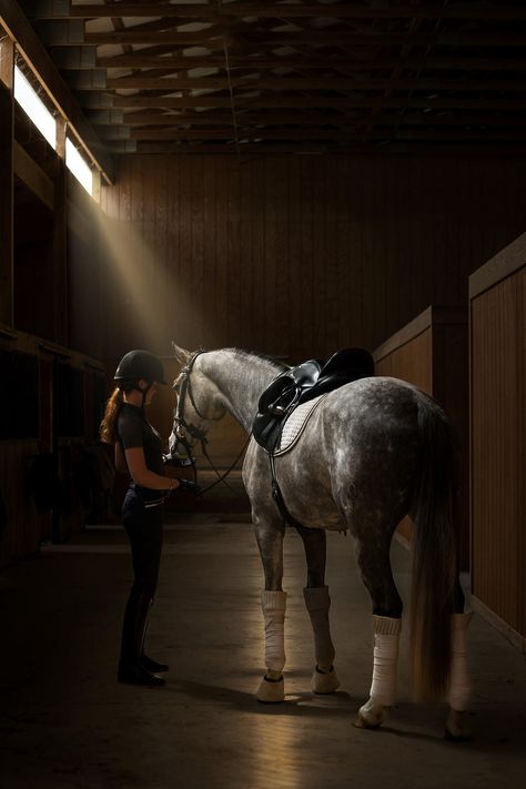 Equestrian Photoshoot, Pictures With Horses, Show Jumping Horses, Horse Photographer, Equestrian Aesthetic, Horse Inspiration, Horse Aesthetic, Dressage Horses, Horse Stables