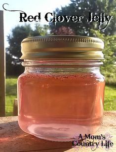 Red Clover Jelly Recipe, Clover Jelly Recipe, Clover Jelly, Edible Flowers Recipes, Home Canning Recipes, Foraging Recipes, Canning Jam, Dandelion Jelly, Homemade Jelly