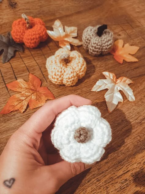 Pumpkin Amigurumi, Crochet Fall Decor, Pumpkins Diy, Crochet Pumpkins, Mini Amigurumi, Single Crochet Decrease, Crochet Cardigans, Fall Crochet Patterns, Quick Crochet Patterns