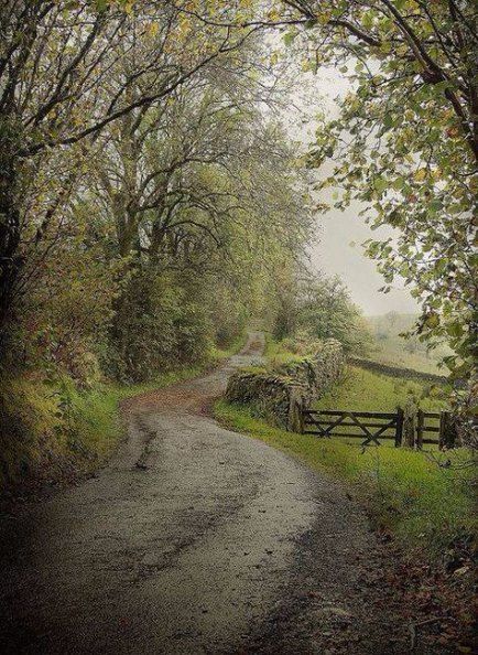 Country Landscaping, Dirt Road, Green Gables, English Countryside, Cumbria, Carlisle, Lake District, The Farm, Country Life