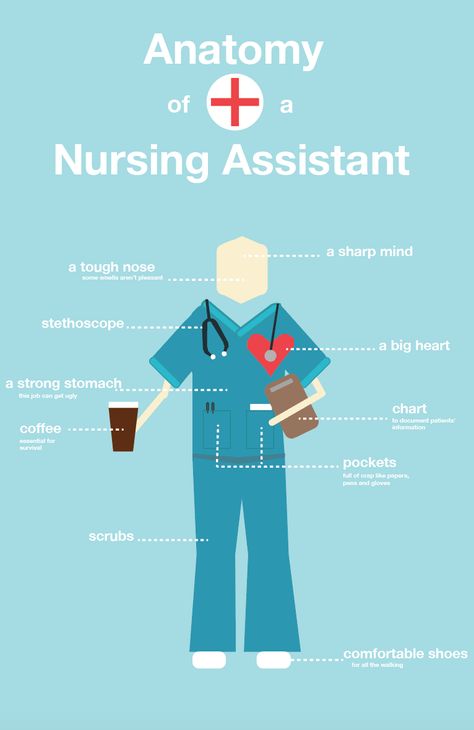 Anatomy of a nursing assistant infographic Nursing Anatomy, Cna Quotes, Cna Humor, Nursing Goals, Nursing School Motivation, Cna Nurse, Medical Jobs, Serve Others, Med School Motivation