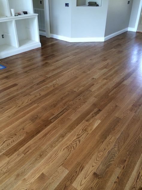 Special Walnut floor color from Minwax. Satin finish Red Oak Hardwood Floors Stains, Red Oak Flooring, Hardwood Floor Stain Colors, Oak Floor Stains, Floor Stain Colors, Red Oak Hardwood Floors, Wood Floor Colors, Oak Wood Flooring, Red Oak Floors