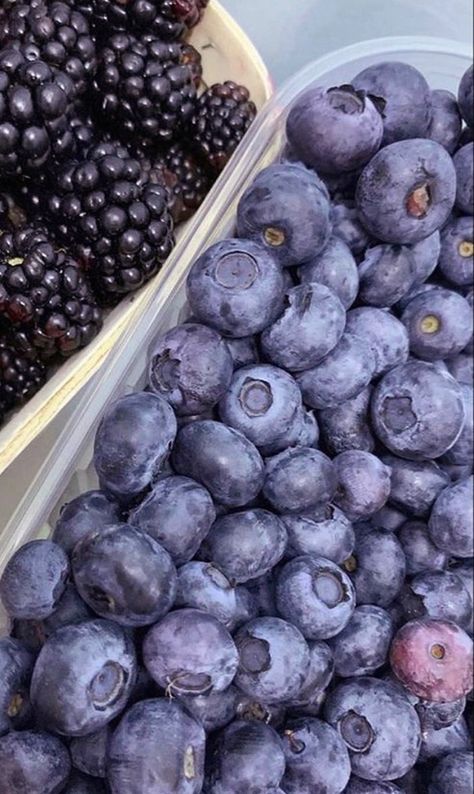 Purple Fruit Aesthetic, Becoming Vegan, Purple Board, Fruit Aesthetic, How To Become Vegan, Tiny Dragon, Purple Fruit, Healthy Body Healthy Mind, Insta Pic Ideas