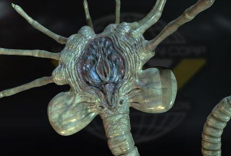 face hugger | 2021-08-23 Facehugger Alien, Face Hugger, Alien Painting, Horror Memes, Alien Cosplay, Assassin's Creed Syndicate, Assassins Creed Syndicate, Jack The Ripper, Molding Clay