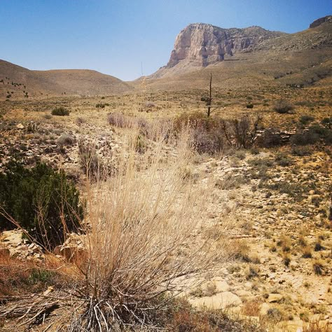 Chihuahua Desert, Chihuahuan Desert, Texas Desert, Guadalupe Mountains National Park, Guadalupe Mountains, Desert Places, West Texas, Desert Plants, Inspirational Posters