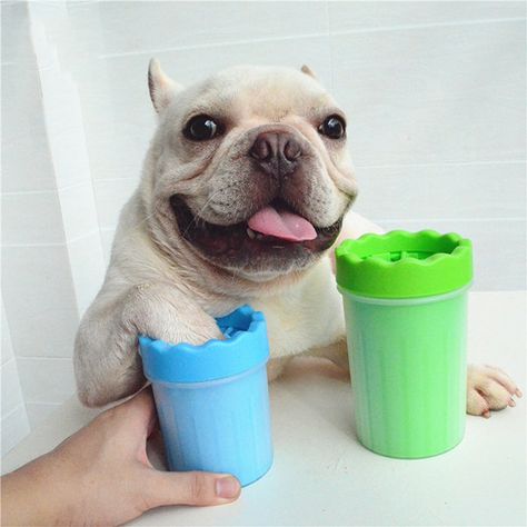 Portable Dog Paw Cleaner Soft Gentle Silicone Pet Paw Washer Cup Dog Foot Cleaner Quickly Clean Short Dog Quotes, Paw Cleaner, Cat Cleaning, Muddy Paws, Dog Allergies, Pet Paws, Dog Paw, Dog Houses, Dog Paws