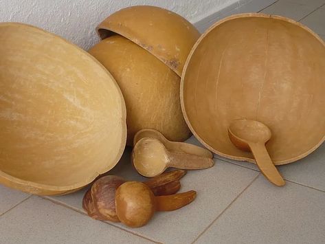 How To Dry Gourds, Calabash Tree, Place Settings Thanksgiving, Gourds Birdhouse, Decorative Gourds, Gourds Crafts, Beautiful Trees, Green Fruit, Tree Seeds