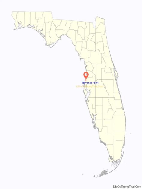 Bayonet Point location on the Florida map. Where is Bayonet Point CDP.. Map of Bayonet Point CDP Jensen Beach Florida, Bay County, Florida Map, Miami City, Jensen Beach, Springs Florida, Pine Island, Spring City, East Lake