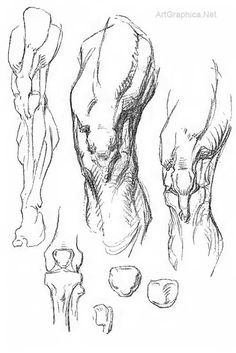 drawing knees, knee anatomy, art book Drawing Knees, Constructive Anatomy, Knee Anatomy, George Bridgman, Leg Anatomy, Drawing Legs, Male Figure Drawing, Human Anatomy Drawing, Human Figure Drawing