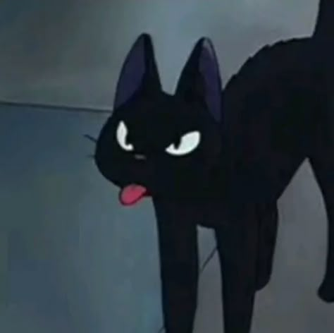 Single Pfp, Cat Pfp, Black Cat, Black