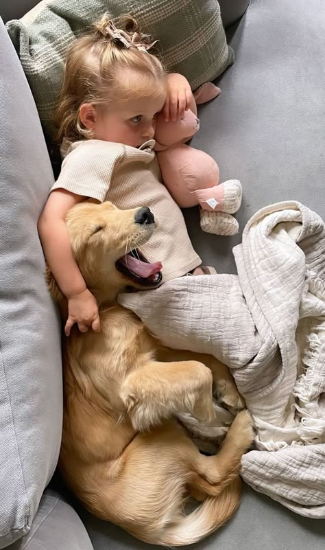 Family With Golden Retriever, Golden Retriever With Baby, Baby And Golden Retriever, Babies With Dogs, Dogs With Babies, Family With Dogs, Golden Retriever Family, Puppies And Babies, Dog And Baby