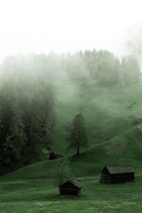 Green forest on hill in haze · Free Stock Photo James Mcneill Whistler, Caspar David Friedrich, Art Exhibition Posters, John James Audubon, Popular Art, Landscape Poster, Portrait Sketches, Exhibition Poster, Indian Ocean