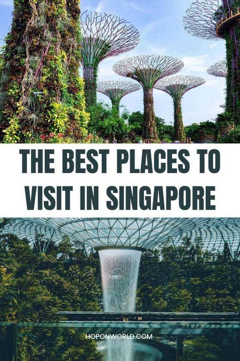 singapore super grove trees Singapore Best Places, Singapore Attractions Places To Visit, Singapore Must Visit Places, Singapore Places To Visit, Places To Visit In Singapore, Singapore Things To Do, Singapore Travel Tips, Singapore Attractions, Singapore Itinerary