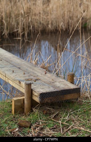 Plank Bridge, Garden Bridge Design, Backyard Bridges, Outdoor Bridges, Pond Bridge, Wood Walkway, Farm Pond, Swiss Cottage, Wire Netting