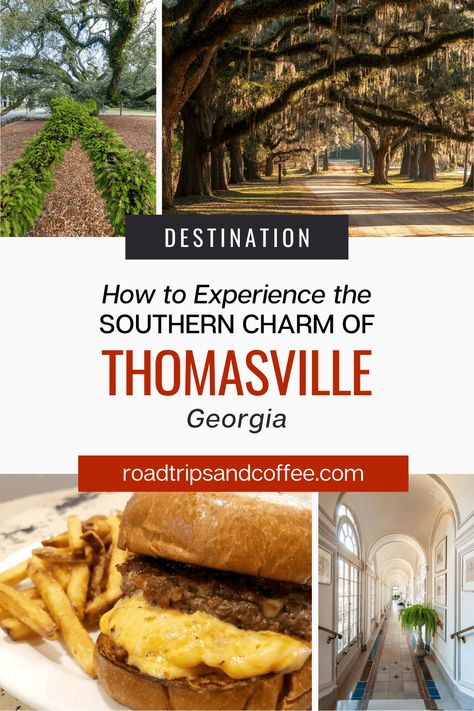 Take a walk along the tree-lined main street, hop inside the charming shops, and you'll see why Thomasville, Georgia is such an amazing destination. Learn the history of the Grand Winter Resort Era while exploring food, shopping, and plantations in this south Georgia town. #travel #georgia #GoForaDrive Thomasville Georgia, Thomasville Ga, Travel Georgia, Winter Resort, South Georgia, Cheese Shop, Hampton Inn, Food Shopping, Take A Walk