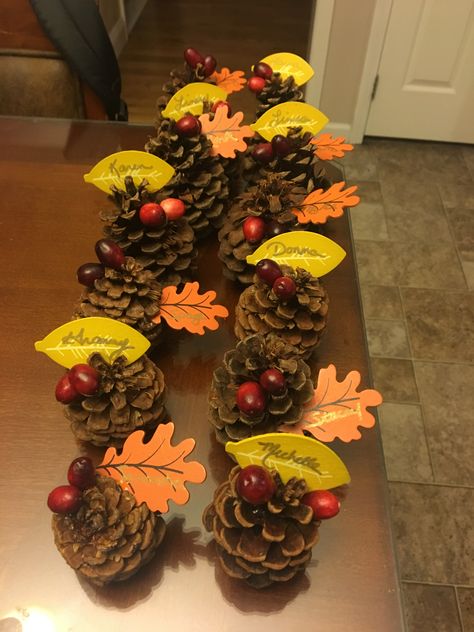 Thanksgivings place cards with pine cones and cranberries Cranberry Thanksgiving, Food Thanksgiving, Turkey Ideas, Thanksgiving Place Cards, Thanksgiving Ideas, Pine Cone, Thanksgiving Turkey, Thanksgiving Decorations, Place Cards