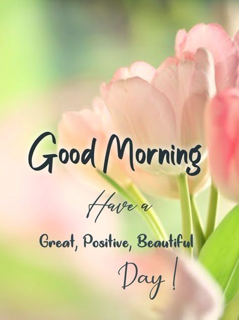 Thoughtful Tuesday, Good Morning Greeting Cards, Beautiful Morning Quotes, Good Morning Sweetheart Quotes, Good Morning Sunshine Quotes, Wonderful Wednesday, Good Morning Flowers Quotes, Good Morning Nature, Good Morning Beautiful Flowers