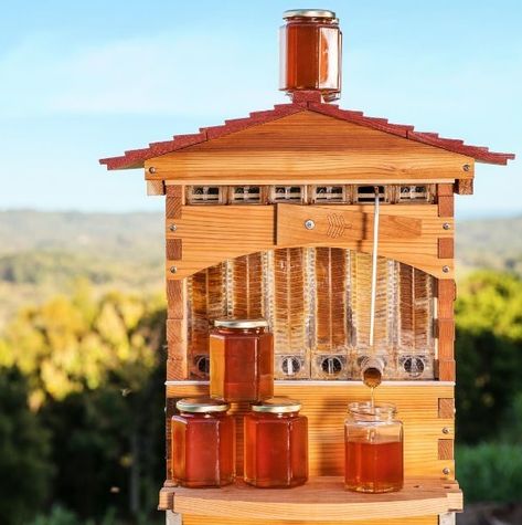 Bee Farming, Flow Hive, Beekeeping For Beginners, Raising Bees, Backyard Beekeeping, Bee House, Bee Farm, Garden Sheds, Small Farm