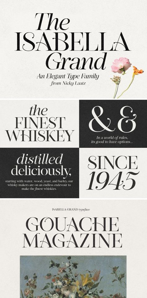 Isabella Grand Typeface by Nicky Laatz Fancy Cursive Fonts, Fonts Dafont, Fonts Vintage, Popular Free Fonts, Cool Handwriting Fonts, Fonts Canva, Fonts Handwriting Alphabet, Romantic Fonts, Canva Fonts