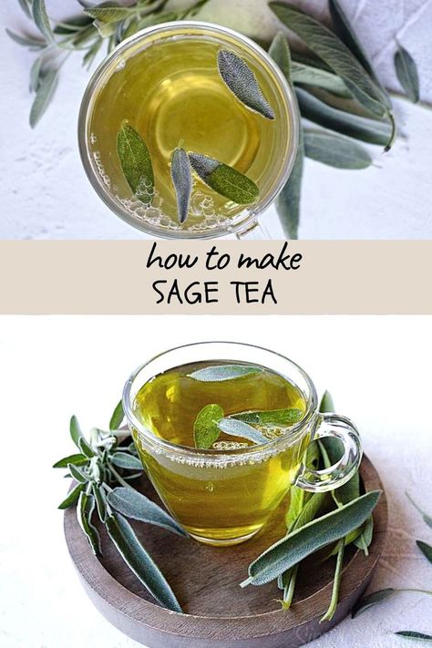 sage tea, herbal tea Homemade Tea Blends, Medicinal Tea Recipes, Herbal Tea Recipes, Sage Benefits, Herbal Tea Remedies, Sage Recipes, Tea Remedies, Sage Tea, Tea Burn