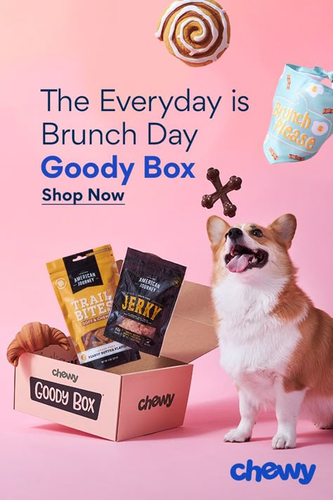 Dog Advertising, Dog Advertisement, Savory Brunch, Pet Store Design, Pet Advertising, Pet Branding, Bandana For Dogs, Cat Snacks, Dog Box