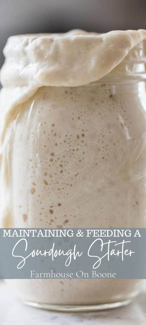 Join me as I teach you all about maintaining and feeding a sourdough starter. Every week I receive hundreds of questions about how to care for a sourdough starter, so I decided to add all the questions and answers into this post as a reference for those who are just starting out with sourdough. #farmhouseonboone #sourdoughstarter #feedingsourdoughstarter #sourdough Feeding Sourdough Starter, Homemade Sourdough Bread Recipes, Gluten Free Sourdough Starter, Making Sourdough Bread, Sourdough Bread Starter, Dough Starter, Sourdough Starter Discard Recipe, Sourdough Pancakes, Starter Recipes