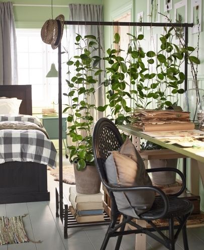 Loft Inspiration, Bed Nook, Living Room Divider, Green Walls, Bedroom Plants, Luxury Rooms, Room With Plants, Open Layout, Studio Apartment Decorating