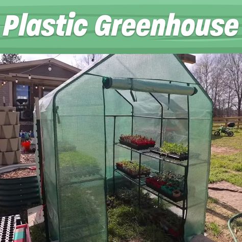 Plastic Greenhouse Ideas, Plastic Greenhouse, Portable Greenhouse, Room Doors, Entertaining Guests, The Great Outdoors, Green