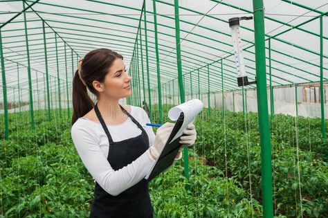 Portrait of young agriculture female engineer working in greenhouse. Young agric , #Aff, #female, #engineer, #working, #Portrait, #young #ad Agricultural Engineering, Cap And Gown Pictures, Female Engineer, Commercial Insurance, Virtual Field Trips, Agricultural Practices, Laboratory Science, Insurance Agency, Business Insurance