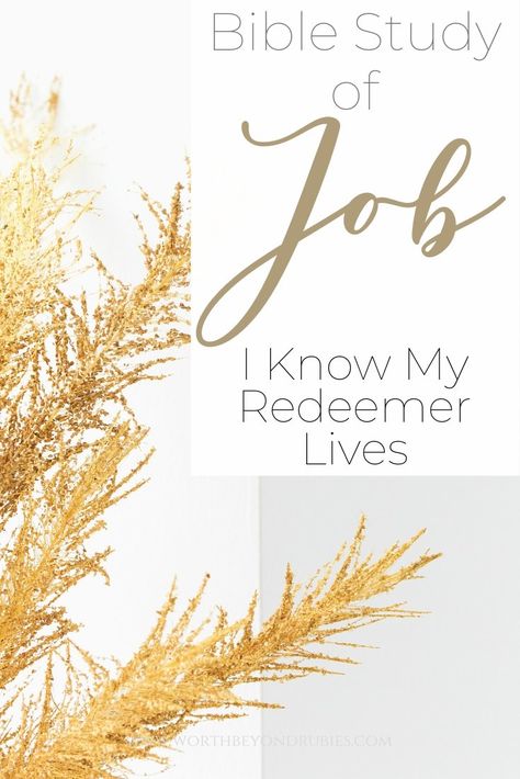 Job In The Bible, I Know My Redeemer Lives, Job Bible Study, Unshakable Faith, Job Bible, Sermon Ideas, When He Says, Bible Studies For Beginners, Spiritual Nature