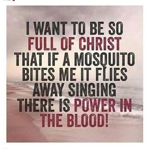 I want to be so full of Christ that if a mosquito bites me it flies away singing there is power in the blood! Funny Christian Quotes, Funny Christian Jokes, Christian Jokes, Motivation Pictures, Awesome God, Christian Things, Christian Humor, Christian Memes, My Jesus