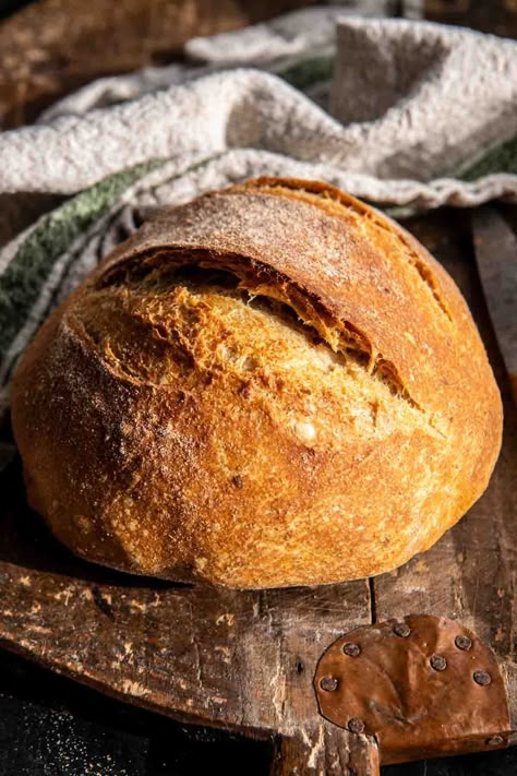 The Best (easiest) No Knead Bread: Crusty outside, light and airy inside. The easiest bread yet still impressive, soon to become a staple! Half Baked Harvest Recipes, Parmesan Bread, A Loaf Of Bread, Homemade Sourdough Bread, Knead Bread, Harvest Recipes, Beer Bread, Sourdough Bread Recipe, No Knead Bread