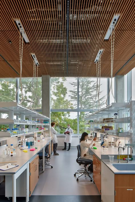 Science Lab Design Architecture, Research And Development Design, Research Center Design, Research Lab Architecture, Research And Development Center Design, Lab Design Interior, Laboratory Design Architecture, Innovation Lab Design, Laboratory Architecture