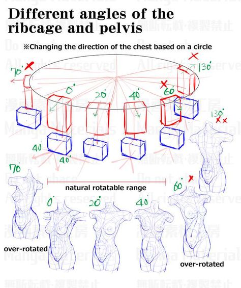 These are definitely not from patreon :) Place Drawing, Geometric Shapes Drawing, Anatomy References, Perspective Drawing Lessons, Human Anatomy Drawing, Body Drawing Tutorial, Manga Drawing Tutorials, Human Anatomy Art, Anatomy Sketches