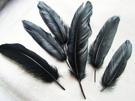 According to legend, when someone finds a black feather, it means that the guardian of their soul is near them. The feathers are supposed to remind the individual that he or she is not fighting the battles of life alone. - Black Raven Feather Easy Professional Hairstyles, Feather Meaning, Crow Feather, Raven Feather, Black Bird Tattoo, Crow Tattoo, Raven Tattoo, Hogwarts Mystery, Feather Tattoo