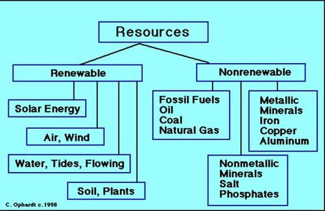 Flow chart Renewable And Non Renewable Resources, Non Renewable Resources, Types Of Natural Resources, Drawing Of Food, Natural Resources Lesson, Renewable And Nonrenewable Resources, Third Grade Lesson Plans, Producers And Consumers, Food Webs