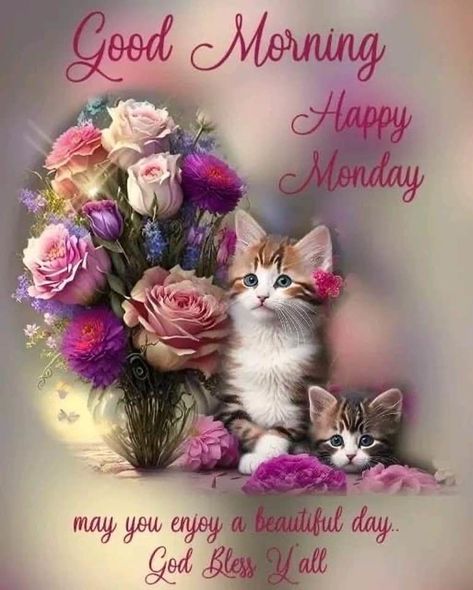 Good Morning Monday Gif, Monday Morning Images, Monday Morning Greetings, Happy Monday Pictures, Monday Morning Blessing, Happy Monday Images, Good Morning Monday Images, Monday Morning Quotes, Good Morning Dear Friend