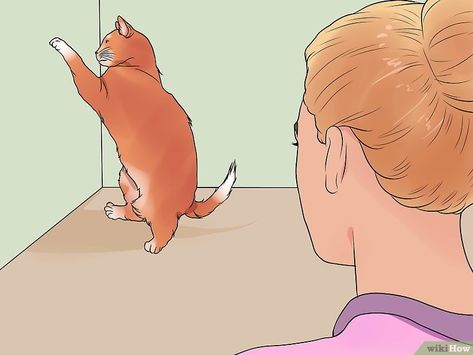 How to Calm a Cat in Heat: 11 Steps (with Pictures) - wikiHow Cat In Heat Remedies, Cat Having Kittens, Cat In Heat, Calming Cat, Female Cat, Calming Sounds, Cat Help, Cat Health, Calm Down