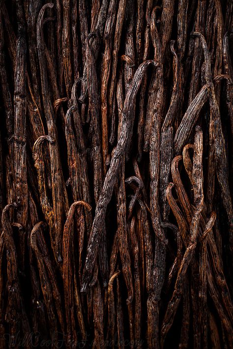 Homemade Vanilla Extract, Printable Images, Homemade Vanilla, Caravaggio, Aesthetic Colors, Brown Aesthetic, Color Textures, Browning, Vanilla Bean