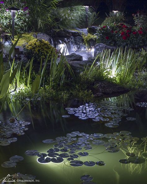 Koi Pond Lighting Ideas, Ones Upon A Time, Pond Lighting, Swim Pond, Water Feature Lighting, Facade Landscape, Rural Garden, Cool Views, Wedding Bar Decor