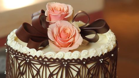 Chocolate Lace Cake, Cake Wraps, Chocolate Wrapping, Cake Lace, Lace Doilies, Candy Melts, Wrap Recipes, How To Make Chocolate, Cocoa Butter