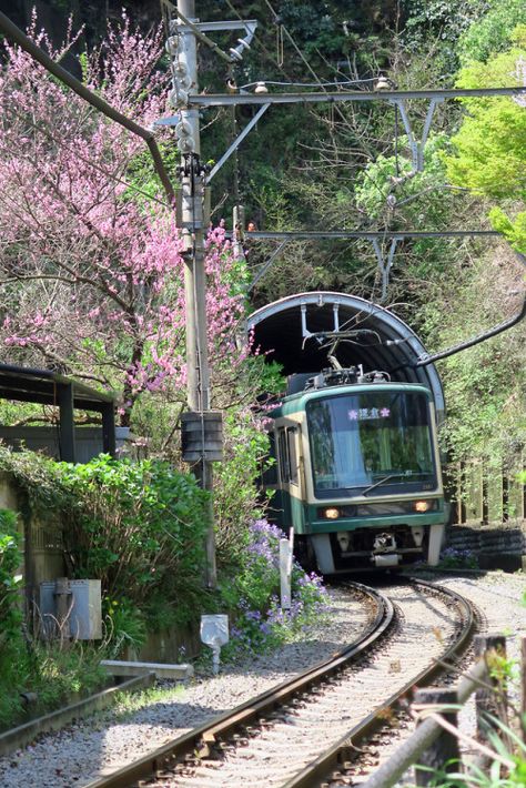 Enoden ,Kamakura Kamakura Japan, Japan Bucket List, Life After High School, Japan Landscape, Iphone Home Screen Layout, Model Train Scenery, Japan Aesthetic, Aesthetic Japan, Kamakura