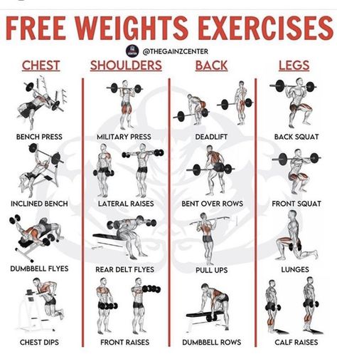 Free weights full body exercises. Examples of exercises with free weights. Dumbbells chest shoulders back and legs. Dead lift. Bench press. Pull ups squats. Weights Exercise, Full Body Exercises, Dead Lift, Chest Workout Routine, Military Press, Rear Delt, Workout Routine For Men, Summer Body Workouts, Leg Day Workouts