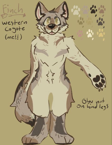 Once again, not an oc or fursona Bear Fursona, Wolf Fursona, Racoon Fursona, Dog Fursona, Fursona Base, Wolf Fursona Reference Sheet, Raccoon Fursona, Coyote Fursona, Wolf Fursona Art