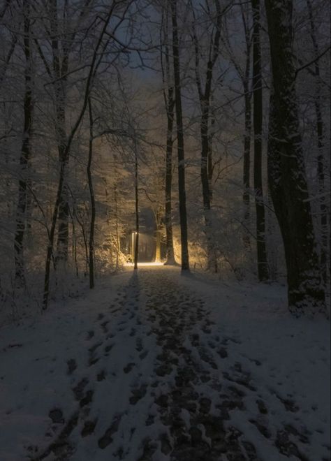 Ethan Frome, Spiritual Photos, Dark Naturalism, Snowy Night, Dark Christmas, Forest Background, Night Forest, Snowy Forest, Winter Cabin