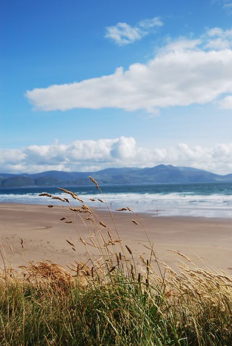 Inch Beach, Ireland... Where Coldplay shot their music video for "Yellow" Inch Beach Ireland, Irish Beach Aesthetic, Ireland Beach Aesthetic, Ireland Seaside, Irish Gods, Midnight Beach, Irish Beach, Ireland Aesthetic, Ireland Beach