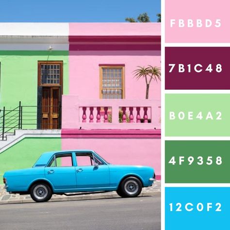 Green Color Palette, Color Palette Ideas, Hex Color Palette, Palette Ideas, Color Palette Bright, Color Palette Pink, Hex Codes, Hex Color Codes, Green Colour Palette